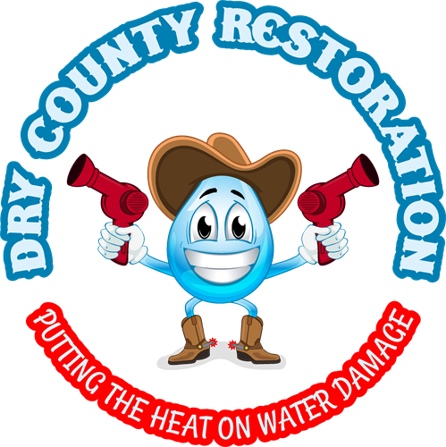 Dry County Restoration