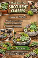 ASucca4u Florist and Gift Shop - Menifee