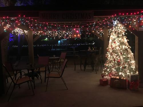Christmas Tree for Outdoor Party