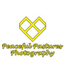 Peaceful Pastures Photography