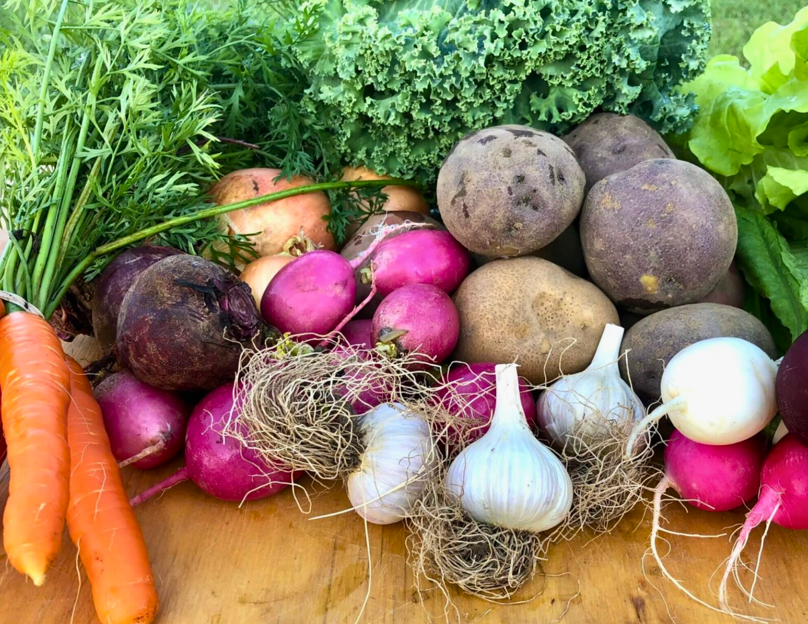 Image for Pitney Meadows Community Farm secures three-year funding to expand successful food as medicine program