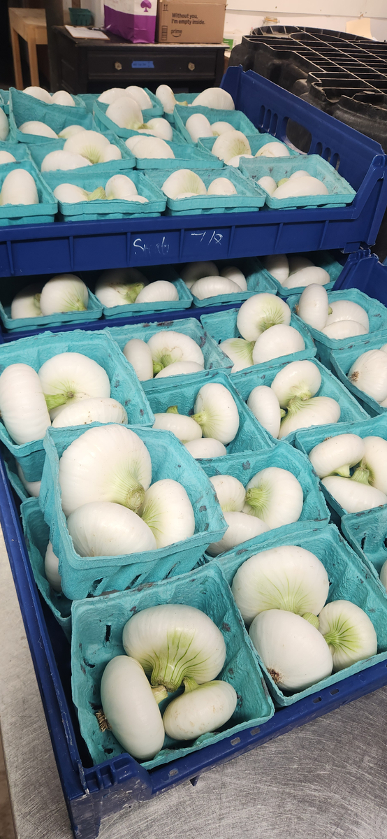 Image for Business for Good Foundation Announces Support for Pitney Meadows Community Farm’s Food as Medicine Program