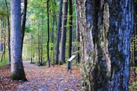 Enjoy our award-winning trail through Victory Woods