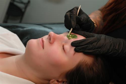 The Saratoga Day Spa offers both male and female anatomy facial and body waxing.