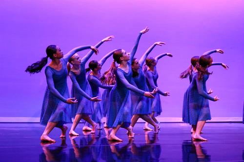 Susan Blackburn Photography