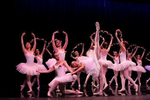 Susan Blackburn Photography