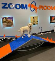 Zoom Room Clifton Park