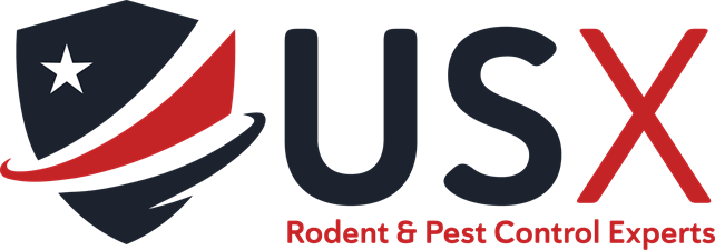 USX Pest