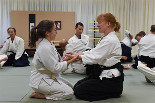 Partner practice: learning to blend with movement and energy. Partner practice: learning to blend with movement and energy.