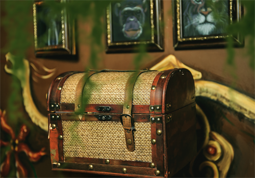 Gallery Image 6_(1).png
