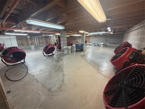 Gallery Image 3.png
