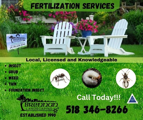 Gallery Image Insect_Grub_weed_Tick_Foundation_Insect.jpg