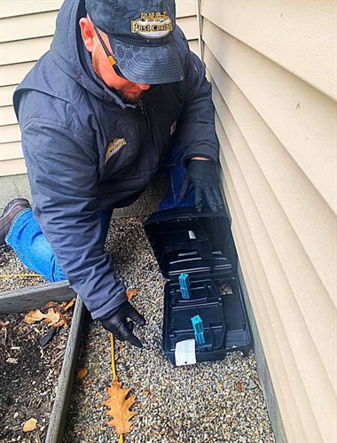 Gallery Image Brent_bug_u_rodent_bait_station_install_pic.jpg