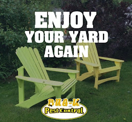 Gallery Image enjoy_your_back_yard_again_image_bug_u.jpg