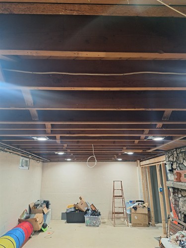 Basement lighting and remodels