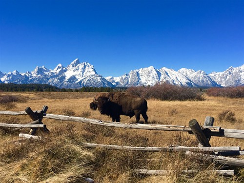 Wyoming