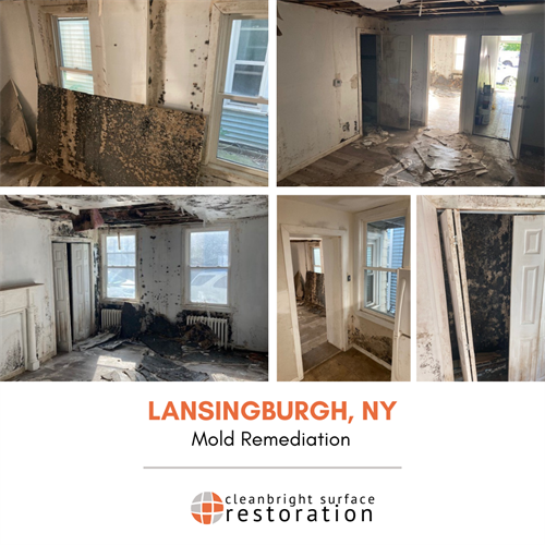 Mold Remediation project in Lansingburgh, NY