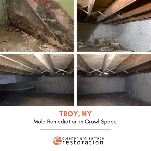Mold Remediation project in Troy, NY
