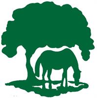 Thoroughbred Retirement Foundation