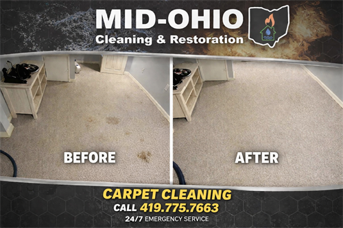 Gallery Image 1BE87640-C3AF-4DD8-9A38-4E1C3DBD717D.png