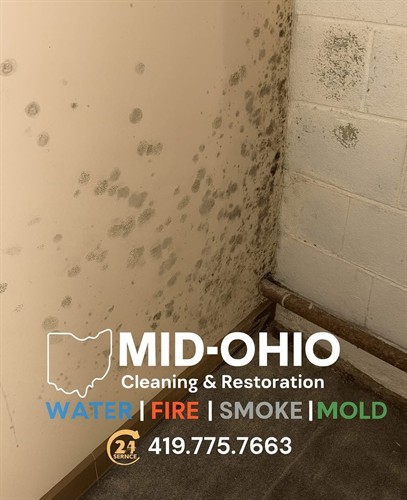 Gallery Image IMG_3877.jpeg