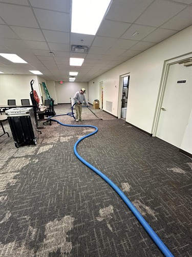 Gallery Image IMG_3894.jpeg