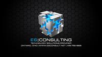 ES Consulting Inc