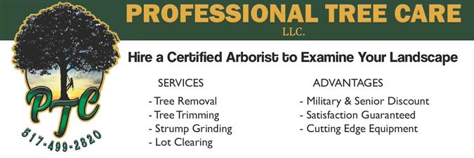 Professional Tree Care LLC