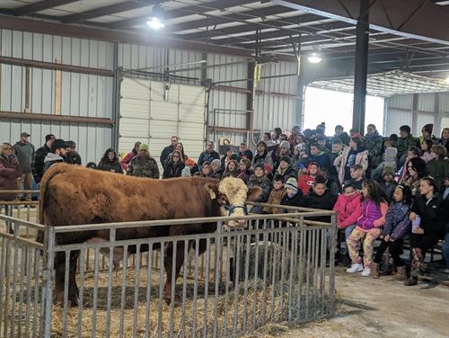 Volunteering with Project Red where area 3rd graders go to Jackson County Fairgrounds and learn about everything our local farms do and where our food comes from. 