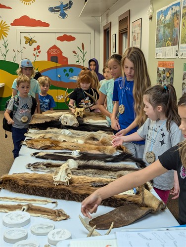 Lots to learn about all the animals on Dahlem's 300 acres of forest, prairie and wetlands!