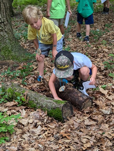 Camp means discovering all kinds of critters at Dahlem!