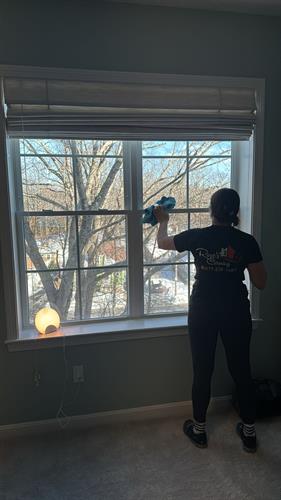 Window Cleaning