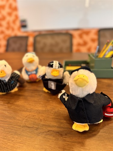 Fun ducks everywhere!