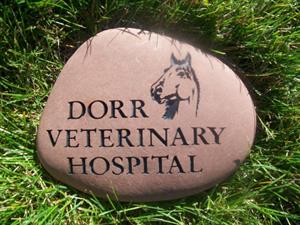 Dorr Veterinary Hospital, LLC