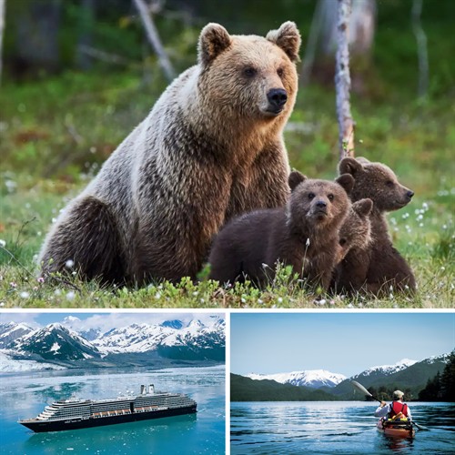 Gallery Image Holland_America.jpg