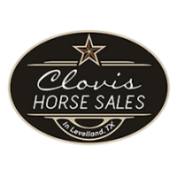 Clovis Horse Sales and Vendor Show