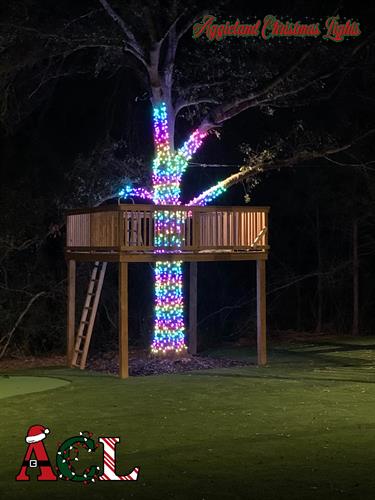 Custom Tree Lights