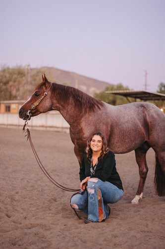 Gallery Image HP1A2429_(1).jpg