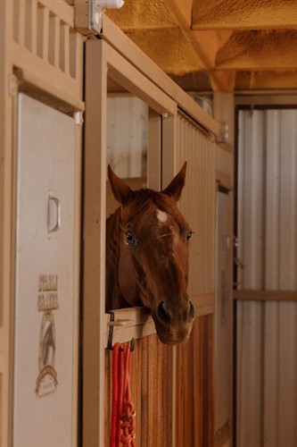 Gallery Image NR7A6795.jpg