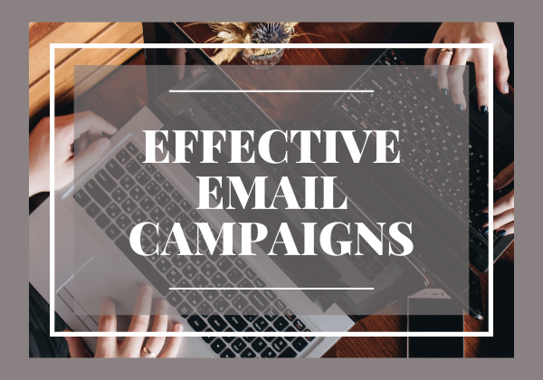 Effective Email Campaigns for Small Business Season