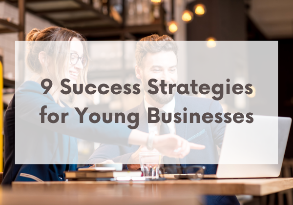 Image for 9 Success Strategies for Young Businesses
