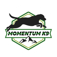 Momentum K9 The Learning Lab: Foundations of Marker Training