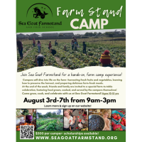 Farmstand Camp with Sea Goat Farmstand & Folk School