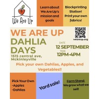 We Are Up Dahlia Days