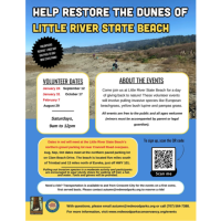 Help restore Little River State Beach!