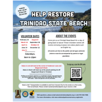 Help restore Trinidad State Beach!
