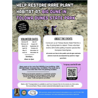 Help restore Big Dune in Tolowa State Park!
