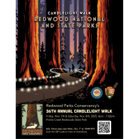 36th Annual Candlelight Walk Returns to Redwood National & State Parks