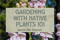 Gardening with Native Plants 101