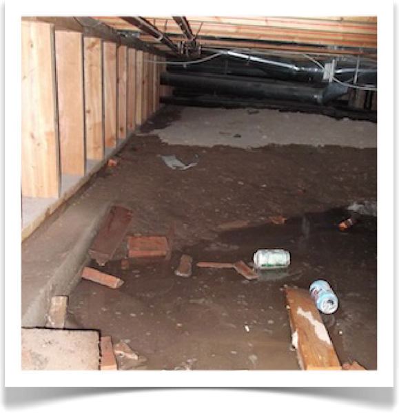 Crawl Space Musty Odor  and Moisture Intrusion Repairs